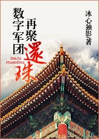 （综琼瑶同人）数字军团再聚还珠